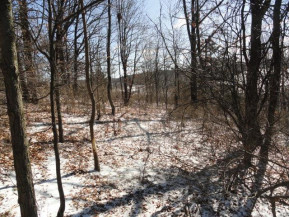 3.37 ACRES Turkey Rd