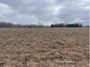 68 ACRES Siggelkow Rd