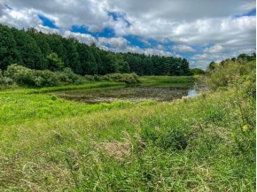 548.57+- ACRES County Road T