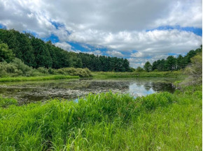 548.57+- ACRES County Road T