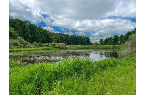 548.57+- ACRES County Road T, Barneveld, WI 53507