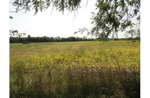 50 ACRES Puuri Rd, Fremont, WI 54940