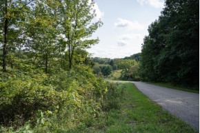 LOT 928 Hidden Spring Dr