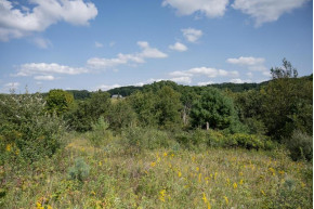 LOT 928 Hidden Spring Dr