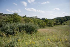 LOT 928 Hidden Spring Dr