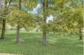 LOT 4 Brewster Dr