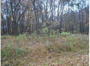 LOT 15 Oak Hill Estates E Mauston, WI 53948