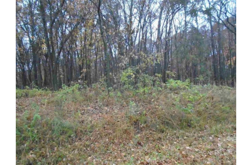 LOT 15 Oak Hill Estates E, Mauston, WI 53948