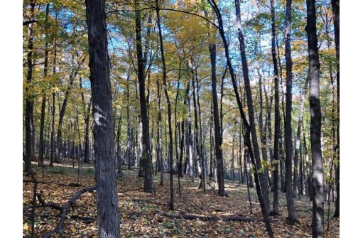 144+/- ACRES English Ridge Rd, Richland Center, WI 53581