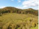 144+/- ACRES English Ridge Rd Richland Center, WI 53581