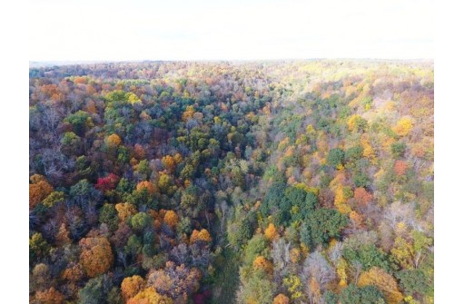 144+/- ACRES English Ridge Rd, Richland Center, WI 53581