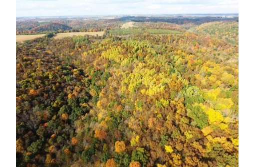 144+/- ACRES English Ridge Rd, Richland Center, WI 53581