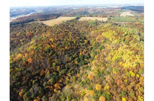 144+/- ACRES English Ridge Rd, Richland Center, WI 53581