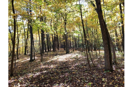 144+/- ACRES English Ridge Rd, Richland Center, WI 53581