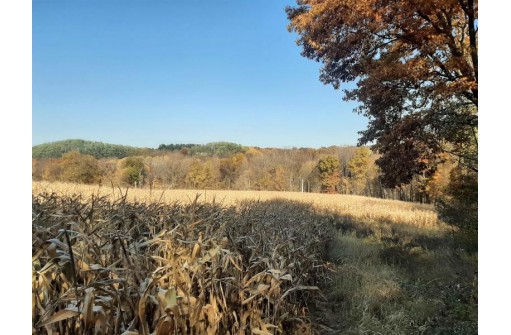 122.61 ACRES Fuller Rd, Reedsburg, WI 53959