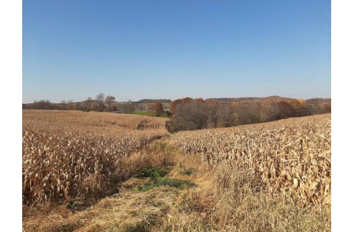 122.61 ACRES Fuller Rd, Reedsburg, WI 53959