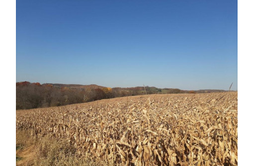 122.61 ACRES Fuller Rd, Reedsburg, WI 53959