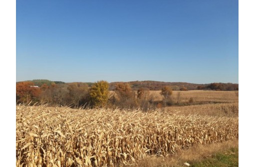 122.61 ACRES Fuller Rd, Reedsburg, WI 53959