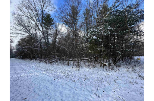 LOT 3 & 6 E 16th Ln, Arkdale, WI 54613