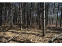 LOT 63 10th St, Necedah, WI 54646