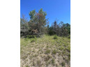 LOT 1 Bluff St, Neshkoro, WI 54960