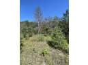 LOT 1 Bluff St, Neshkoro, WI 54960