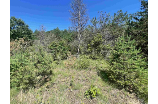 LOT 1 Bluff St, Neshkoro, WI 54960