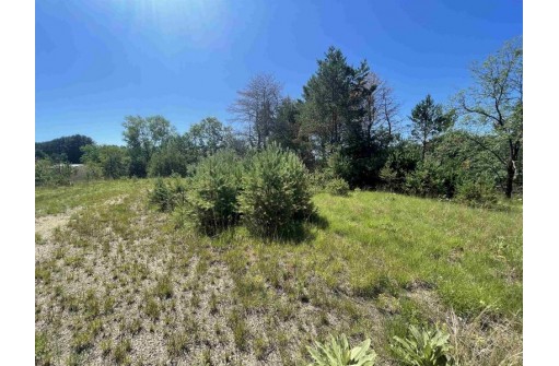 LOT 1 Bluff St, Neshkoro, WI 54960