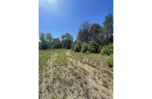 LOT 1 Bluff St, Neshkoro, WI 54960