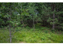 LOT 4 17th St, Necedah, WI 54646