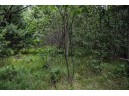 LOT 4 17th St, Necedah, WI 54646