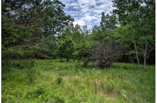 LOT 4 17th St, Necedah, WI 54646