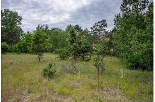 LOT 4 17th St, Necedah, WI 54646