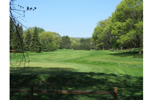 LOT 107 Pebblebeach Dr, Wisconsin Dells, WI 53965