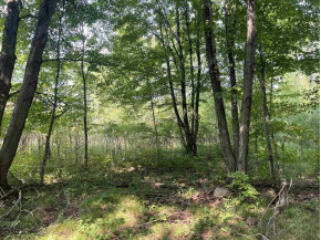 10+/- ACRES Linwood Dr