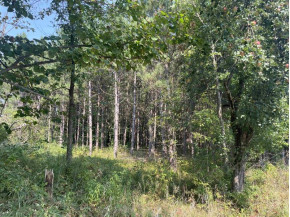 10+/- ACRES Linwood Dr