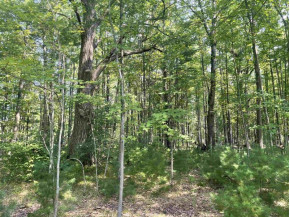 10+/- ACRES Linwood Dr