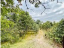 N8603 Woodland Ln, New Lisbon, WI 53950