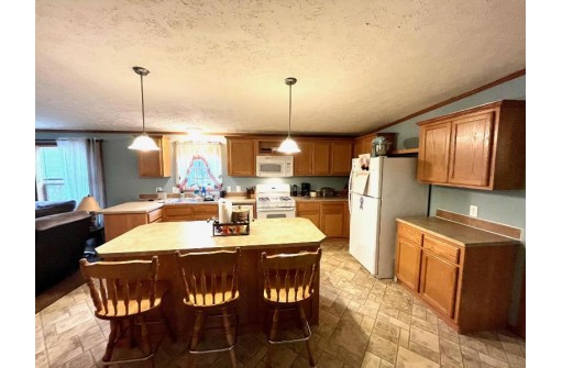 N8603 Woodland Ln, New Lisbon, WI 53950