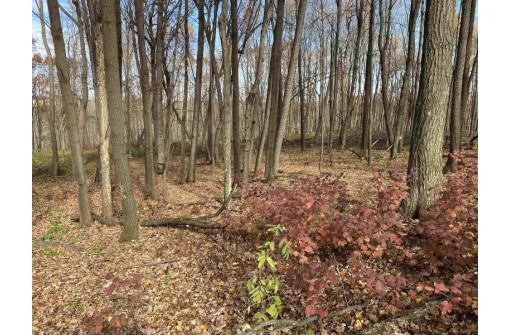 42.55 AC County Road W, Loganville, WI 53943