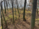 42.55 AC County Road W, Loganville, WI 53943