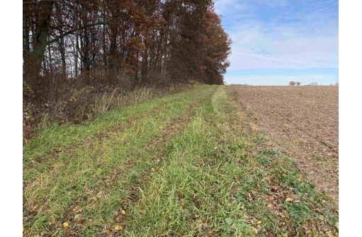 42.55 AC County Road W, Loganville, WI 53943