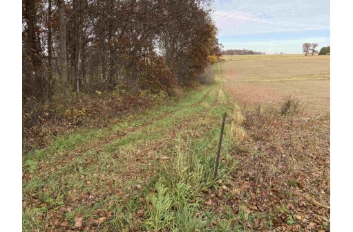 42.55 AC County Road W, Loganville, WI 53943