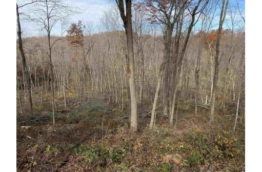 42.55 AC County Road W, Loganville, WI 53943