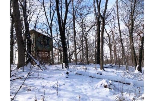 11456 Bishop Rd, Ferryville, WI 54628