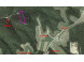 LOT Battle Ave De Soto, WI 54624