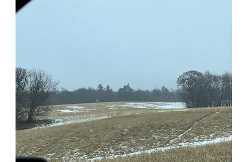 40.82 ACRES Hickory Ave, Tomah, WI 54660