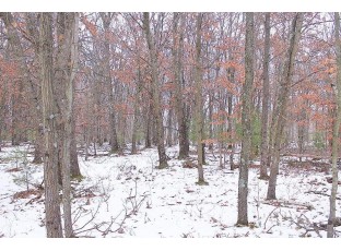 16.6 ACRES Deer Run Montello, WI 53949-0000