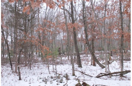 16.6 ACRES Deer Run, Montello, WI 53949-0000