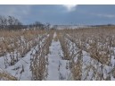 86 AC County Road S, Gays Mills, WI 54631